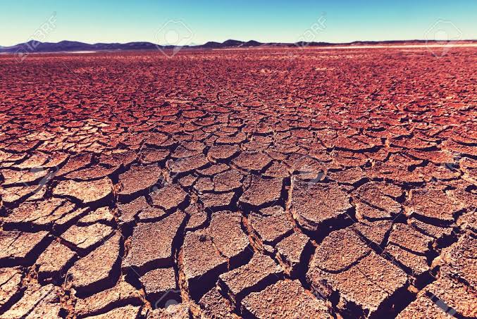 乾いてる😱身体に、お肌に、髪に、お水を👏