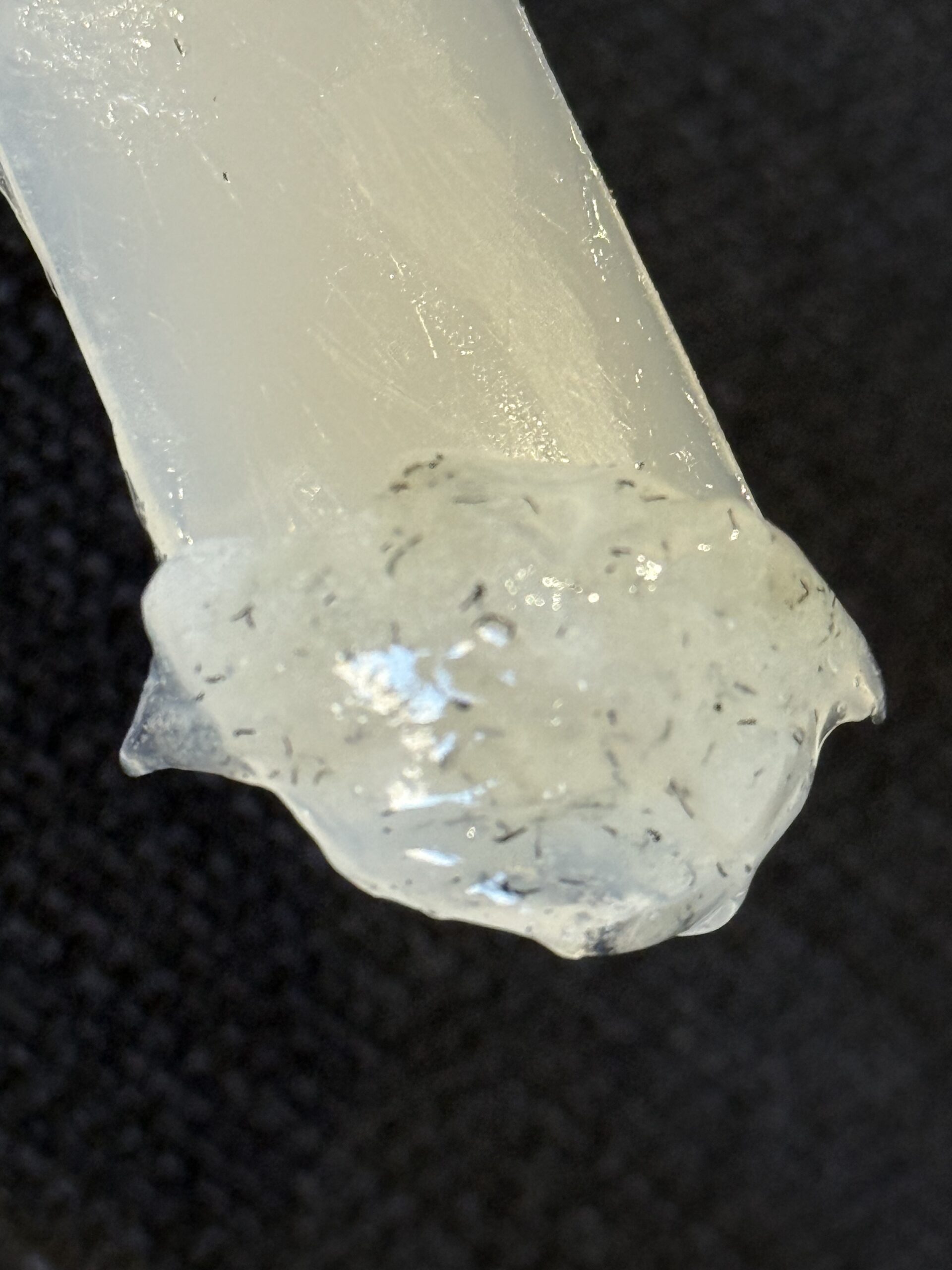 レアな現象にビックリ🫣でも嬉しい現象に笑顔🤭