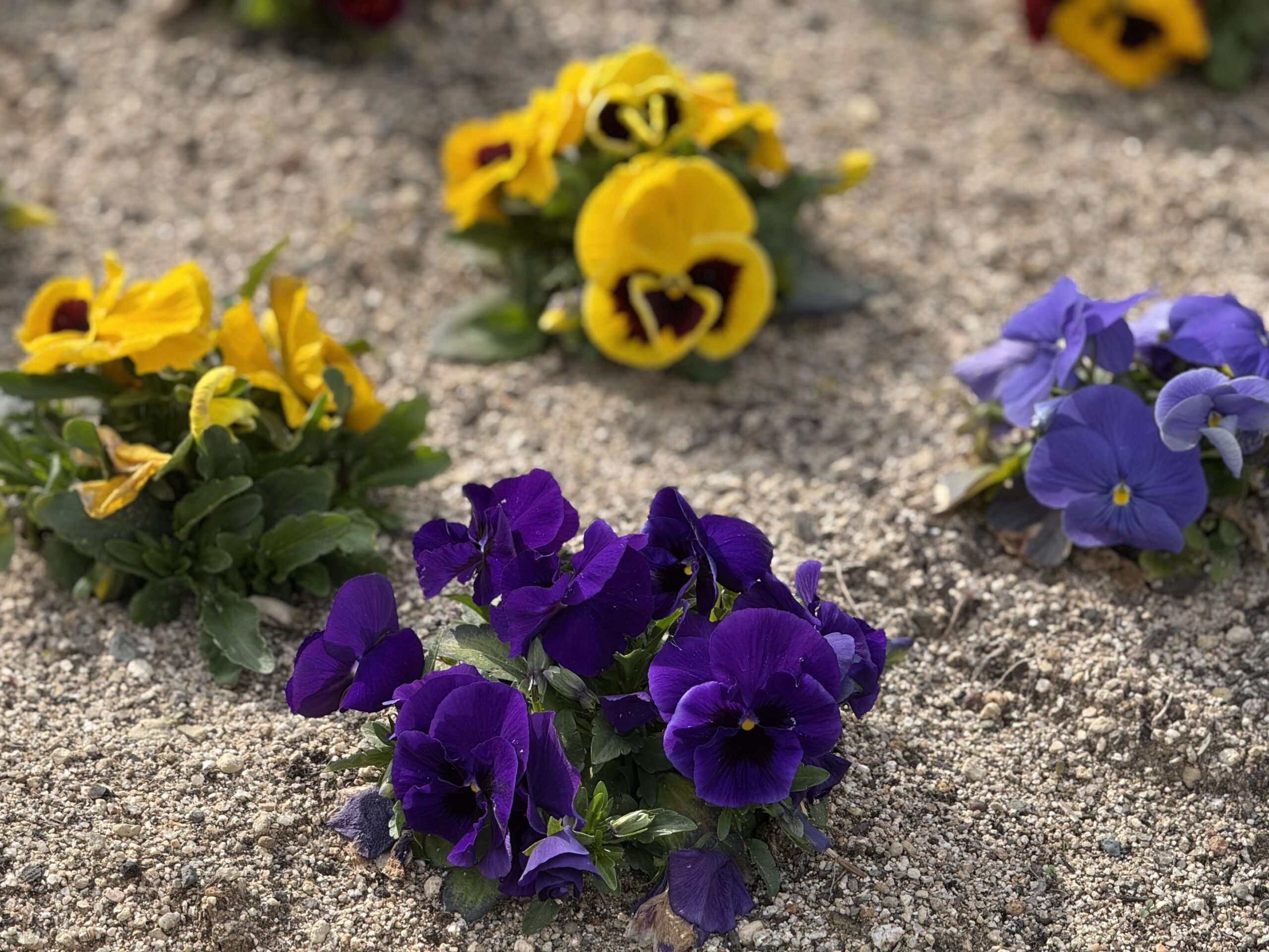 他力本願では無く、まずは自分自身を頼りに😌