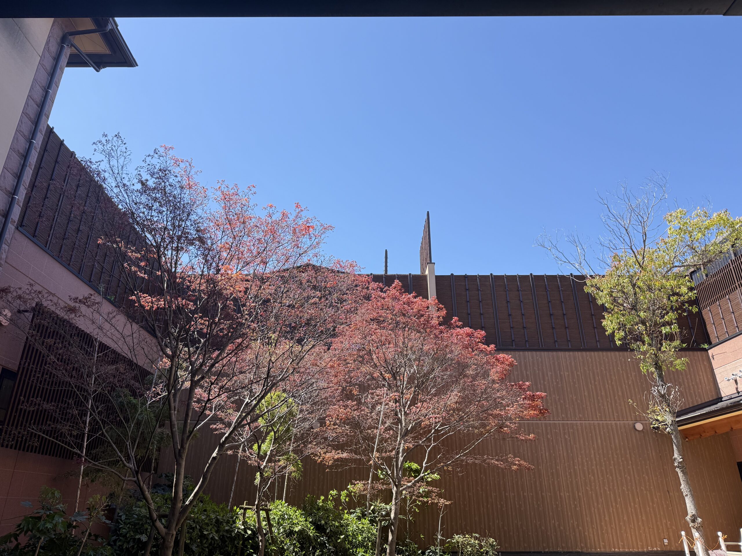 たまには脱力タイム⏰作らんとね🙂‍↕️👍