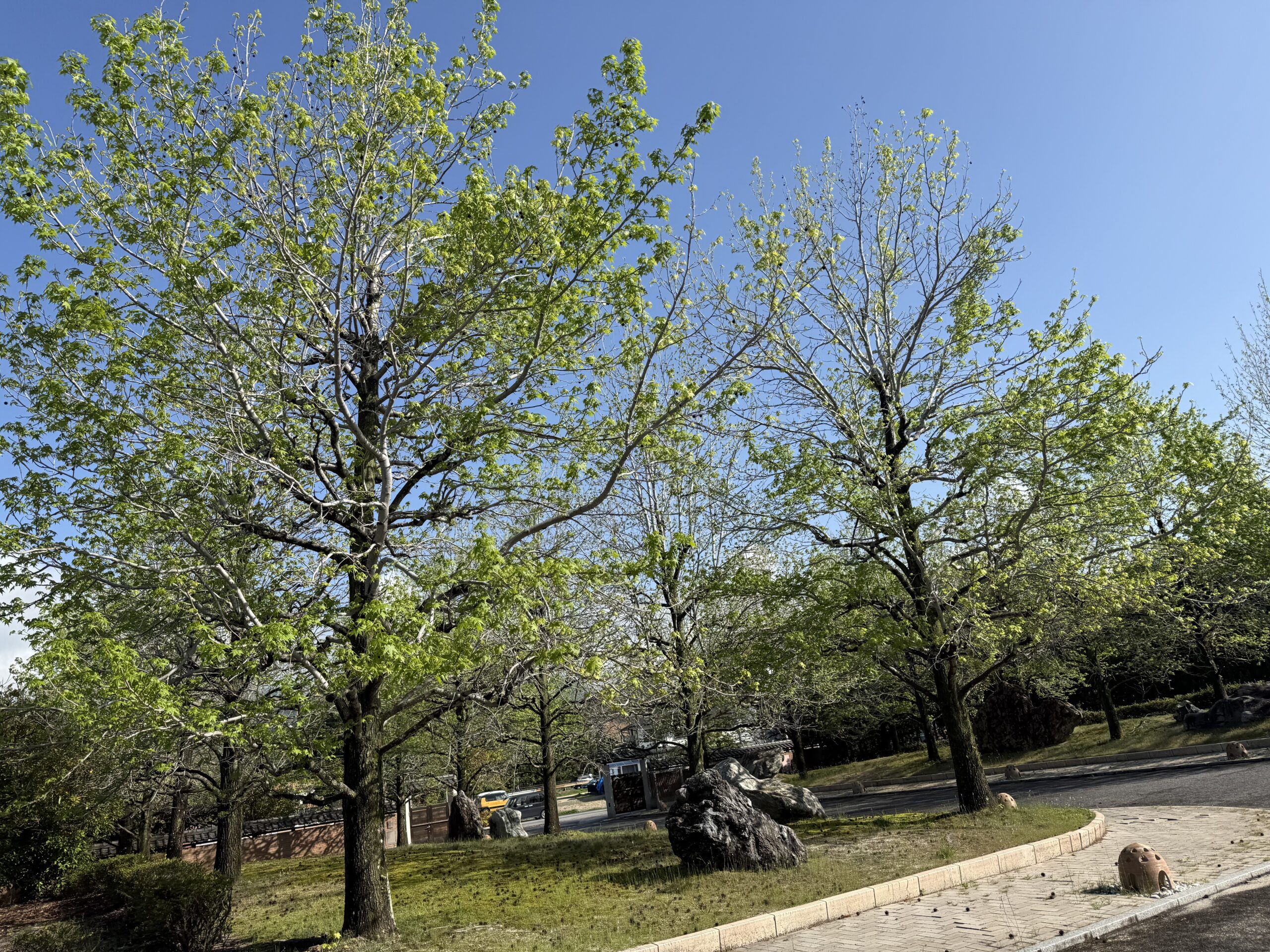 人生初の人間ドックへ行って参ります🫢👍