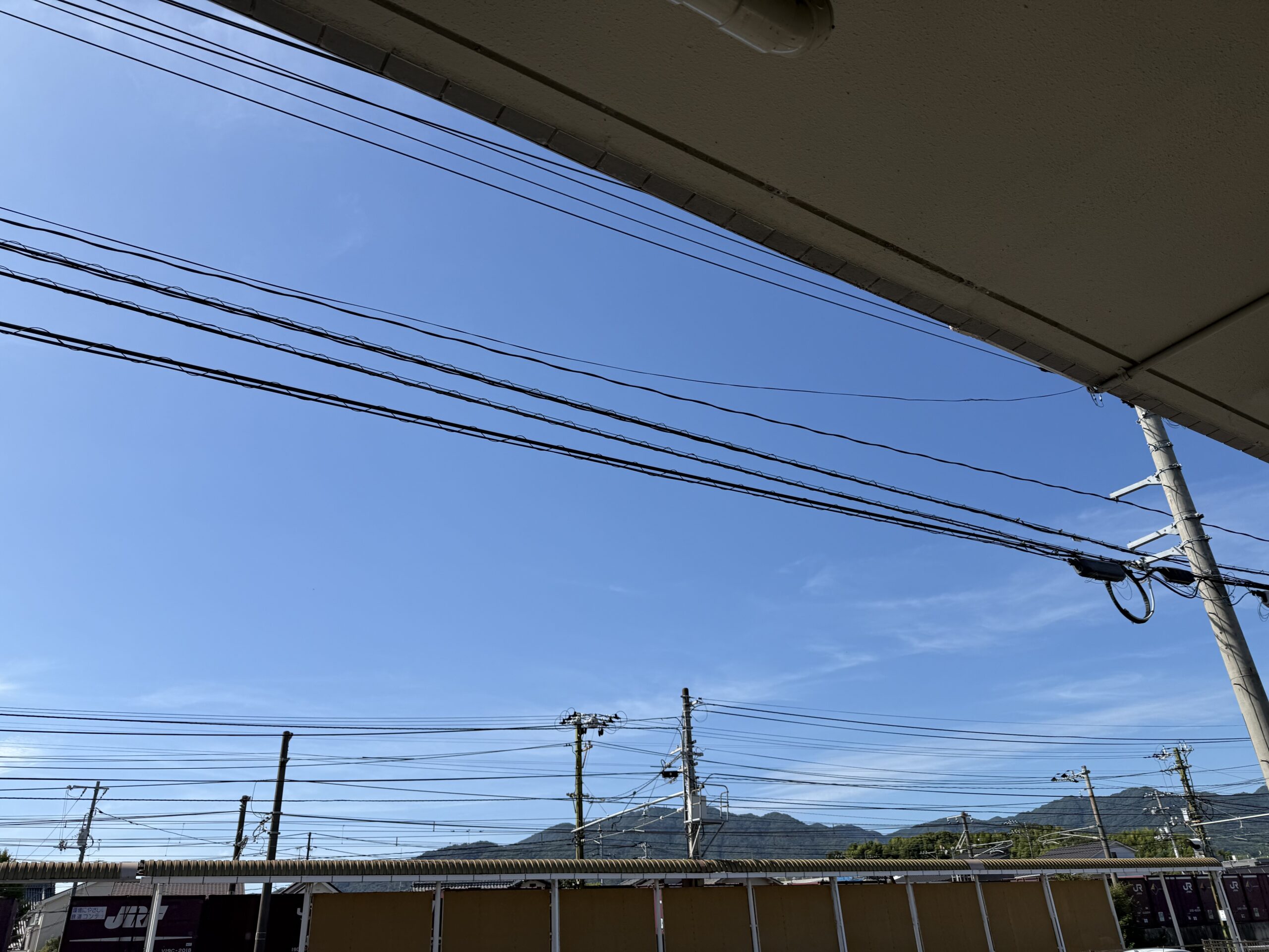 秋の紫外線対策はなぜしないの⁉️🫣