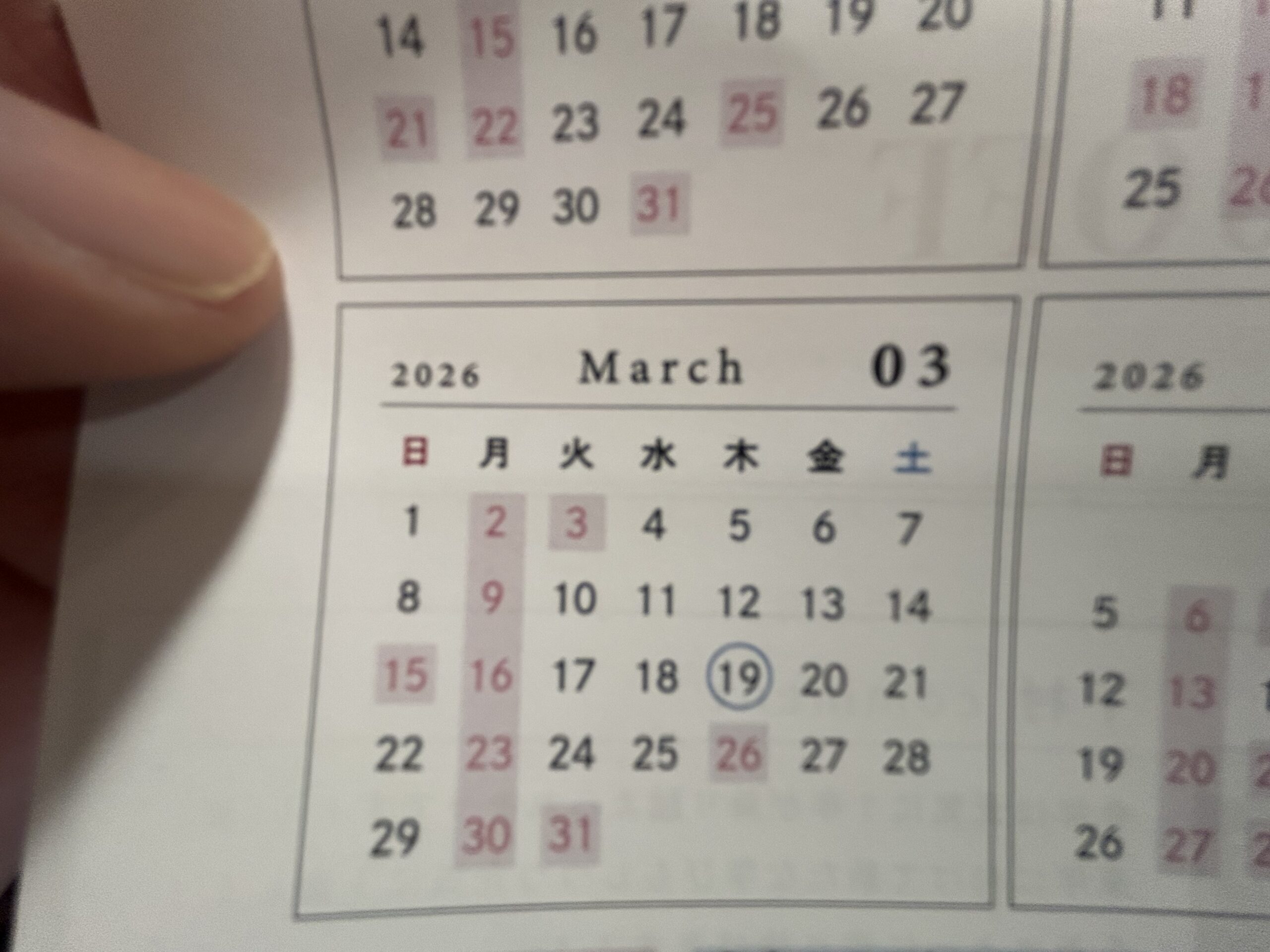 3月のお休みのお知らせ📢