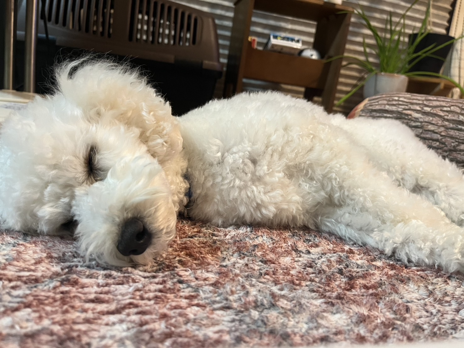 成長を感じる季節☝️