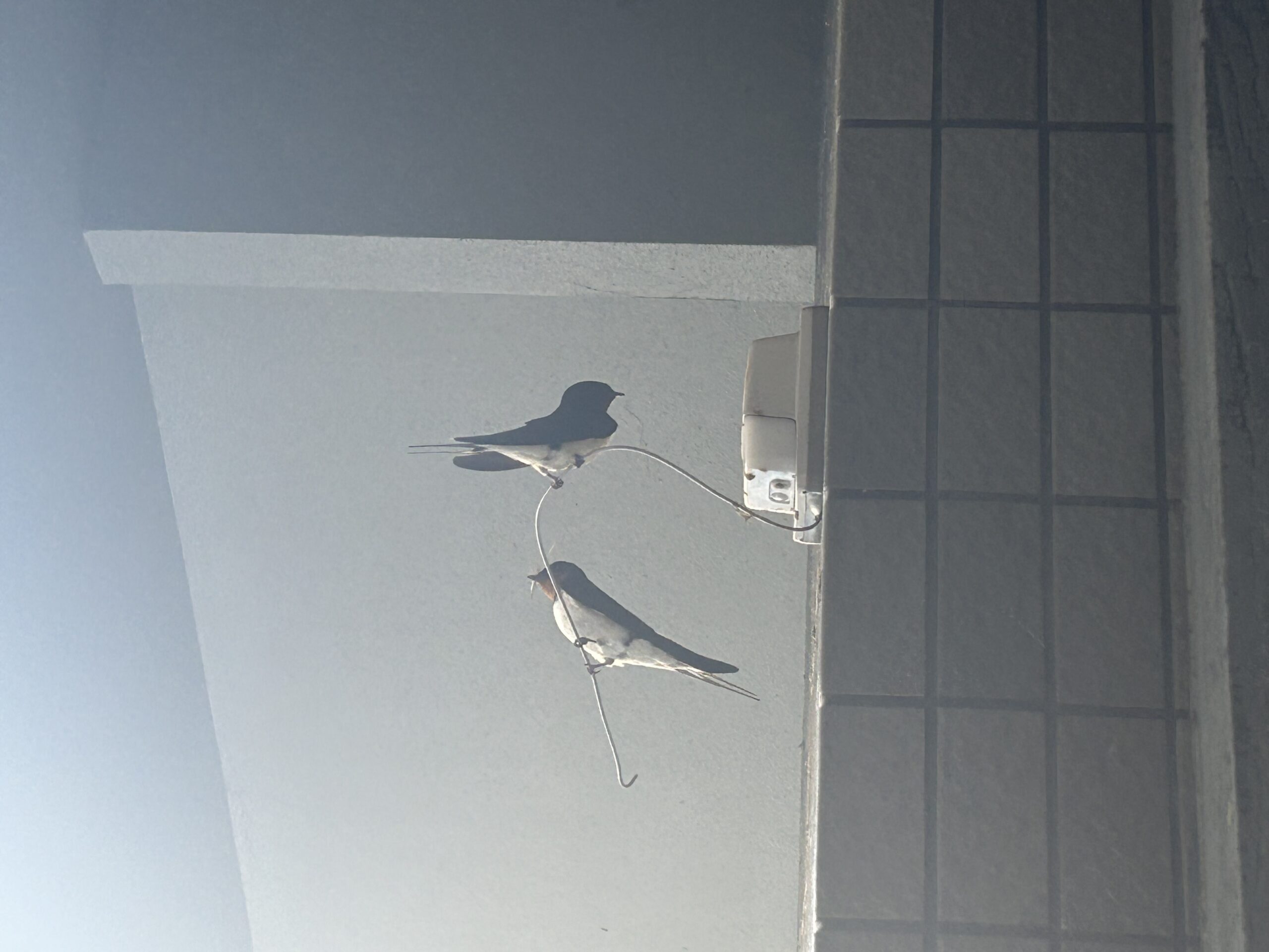 春の「ウッカリ日焼け」急増中☝️