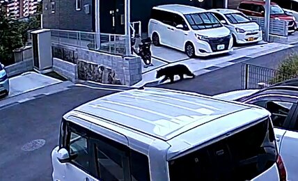 日常に潜む数々の危険⚠️